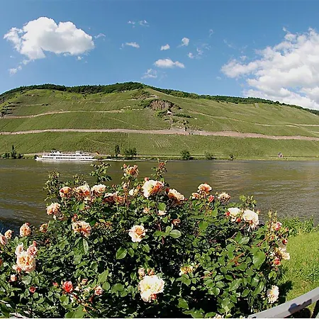 Otel Mosel-hotel Leyendecker Garni *
