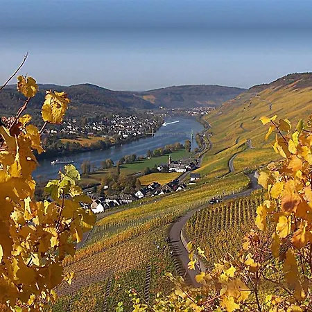 Otel Mosel-hotel Leyendecker Garni