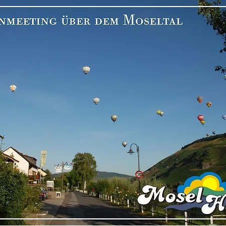 Mosel-hotel Leyendecker Garni * Bernkastel-Kues